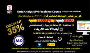Professional Data Analyst Course 10-09-2025